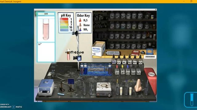 8-4 Identification of Cations in Solution Co2+,Cr3+,Cu2+ (Beyond Labz) смотреть онлайн