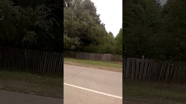 24.08.21г Возможные последствия работы психотронных опг в государствах на примере с. Малое Карачкин смотреть онлайн