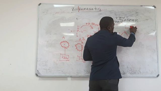 Bioenergetics_Part 3 (Reaction coupling) смотреть онлайн