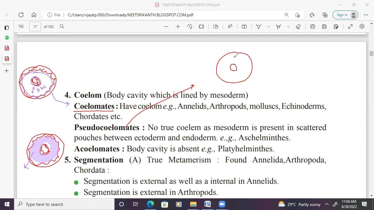 ANIMAL KINGDOM QUICK REVISION PART 1 BY SRIKANTH SIR смотреть онлайн