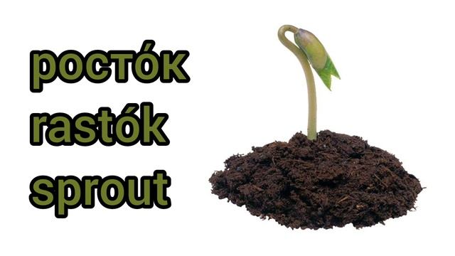 Как произносится росток по-русски смотреть онлайн