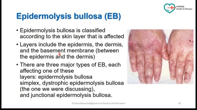HMB322 Lecture 8ish смотреть онлайн