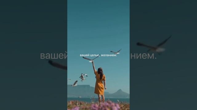 Мечтайте! #ЖизньМечты #мечты #желания смотреть онлайн
