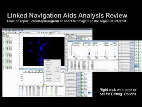 GeneMarker® Genotyping Software - Introductory Webinar смотреть онлайн