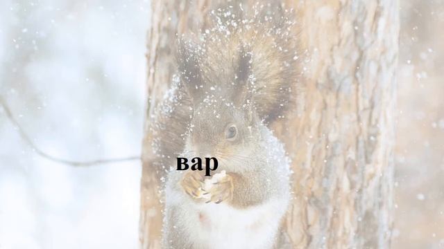 Тренажер читання (швидкочитання). Практичні заняття без репетитора. смотреть онлайн