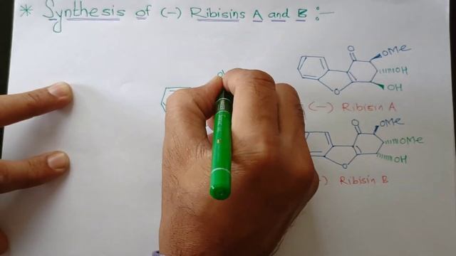Ribisins A and B ( Part I) смотреть онлайн