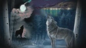 Одинокий волк...исп. Влад Порфиров