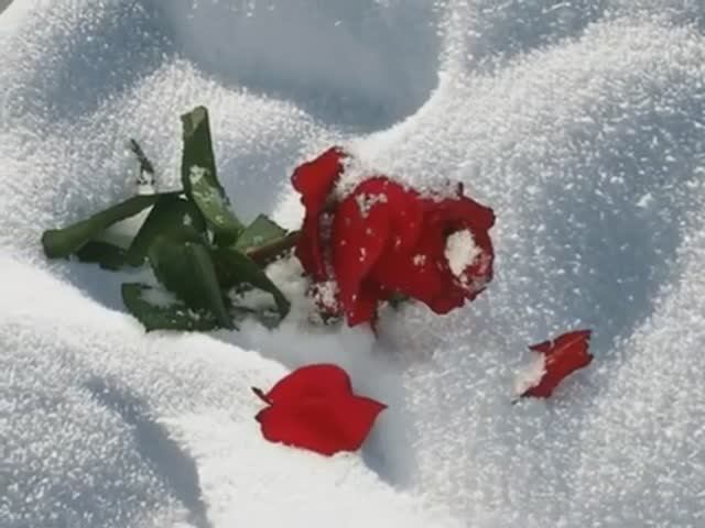 На белом,белом покрывале Января...исп. гр. Сладкий сон смотреть онлайн