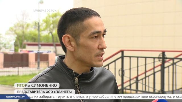 Стали известны подробности истории с брошенными животными смотреть онлайн