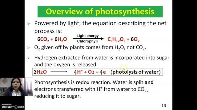 CHAPTER 6 : PHOTOSYNTHESIS смотреть онлайн