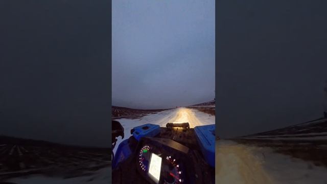 25 ноября 2024 г.