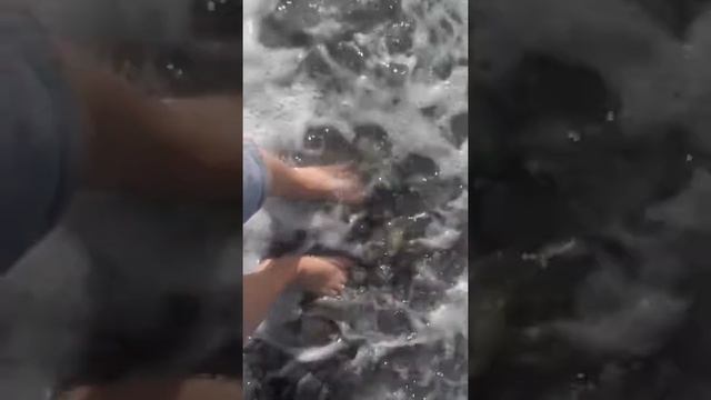 Крутой день в Сочи смотреть онлайн
