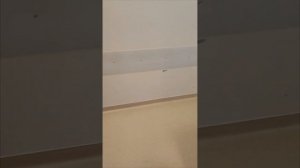 медицинский центр им. В.А. Алмазова. отделение нейрохирургии, обзор палаты.