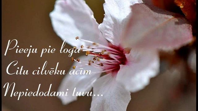 Haikas Astere смотреть онлайн