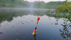 ЭТА ЛУЖА КИШИТ РЫБОЙ Рыбалка на поплавок