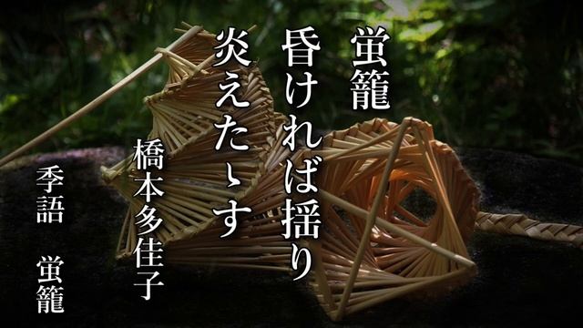 2023年6月9日「夏の句」俳句LOVE смотреть онлайн