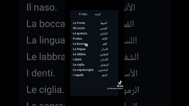 مفردات #الوجه #باللغة_الإيطالية #il_viso #learniamo_italiano #lingua_italiana #إيطاليا #italia смотреть онлайн