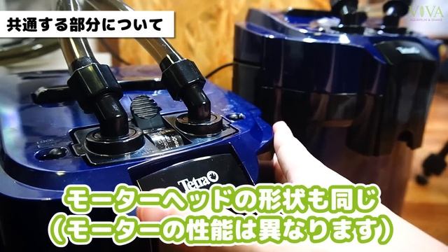 【アクアリウム】テトラVX-60レビュー VX-75との違いは？互換性はある？ #アクアリウム #外部フィルター 【ビバアクア】 смотреть онлайн
