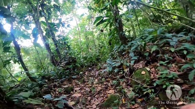 Pico de Aguila - Cascada la Güagüa смотреть онлайн