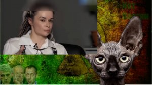 Планы поделить Украину у "партнеров" уже есть / Кот Костян