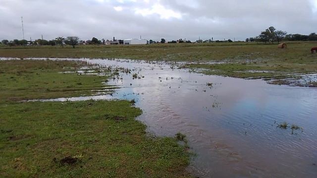 Mucha agua bajando, 84 mm en 4 horas #lluvia #campo смотреть онлайн