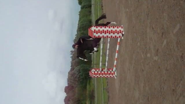 NardiJambo M Jumping (Hamlet x Pele x Joost) смотреть онлайн