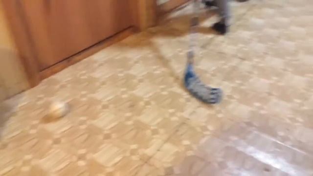 Как мой друг играет в хоккей! смотреть онлайн