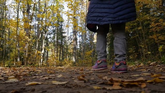 Осень 2021 смотреть онлайн