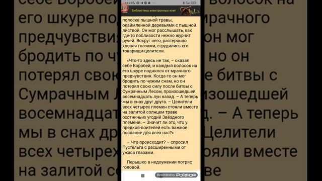 Коты Воители приключения Ольхолапа аудиокнига смотреть онлайн