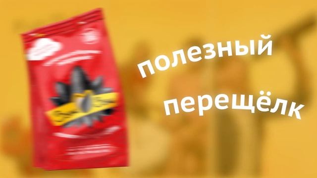 Студенты 6 секунд смотреть онлайн