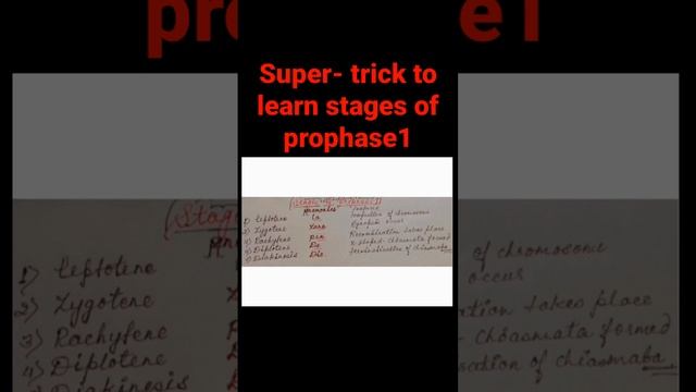 super- trick to learn all stages of prophase with some features in shortest time#biology смотреть онлайн