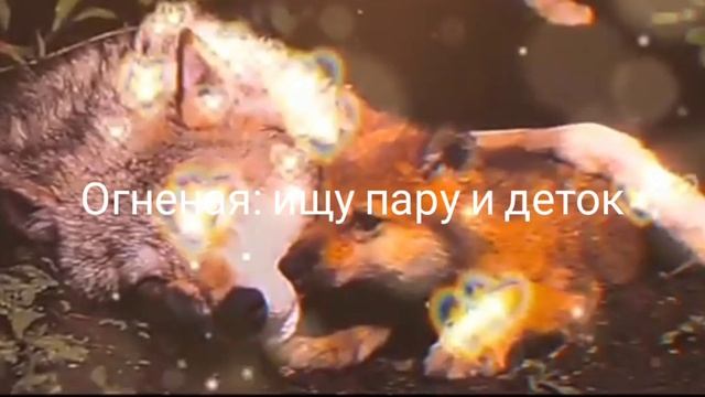 Огненая: ищу пару и деток смотреть онлайн