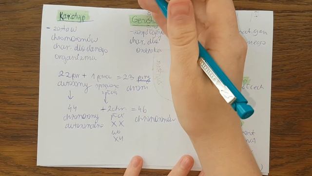 KARIOTYP, GENOTYP, FENOTYP, GENOM, GEN смотреть онлайн