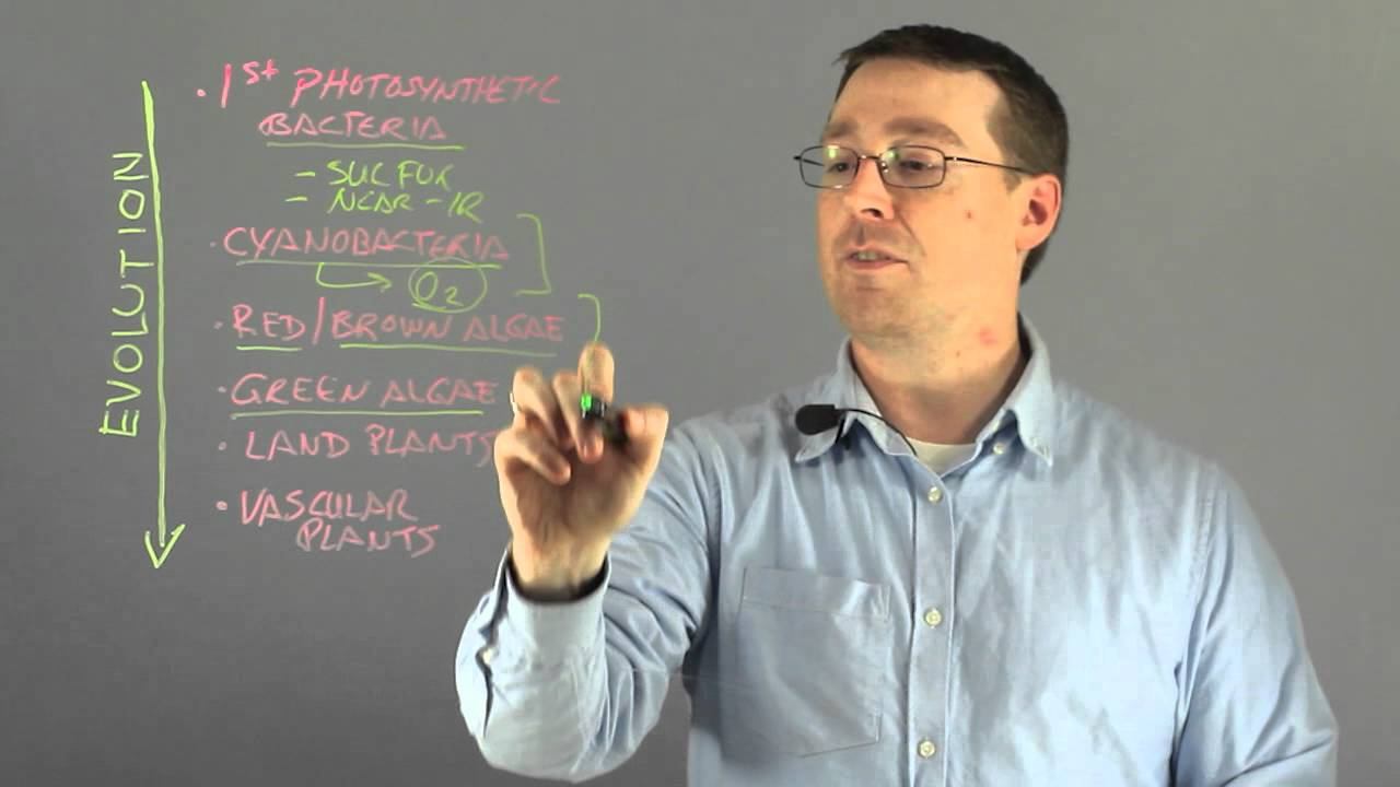 Photosynthesis in Early Prokaryotes : Photosynthesis & Other Reactions смотреть онлайн