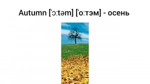 How to Pronounce autumn in English