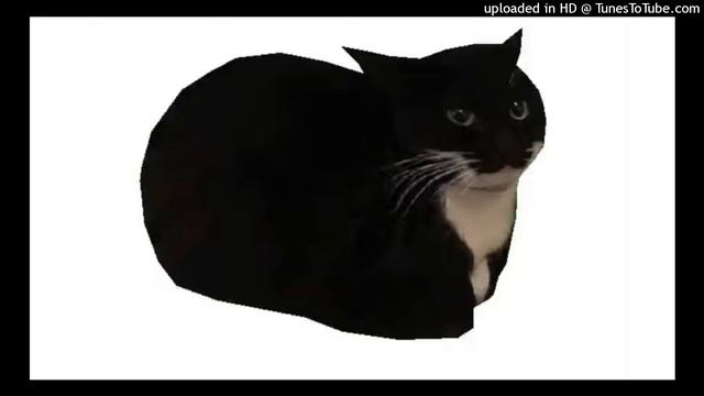 Maxwell The Cat Remix V2