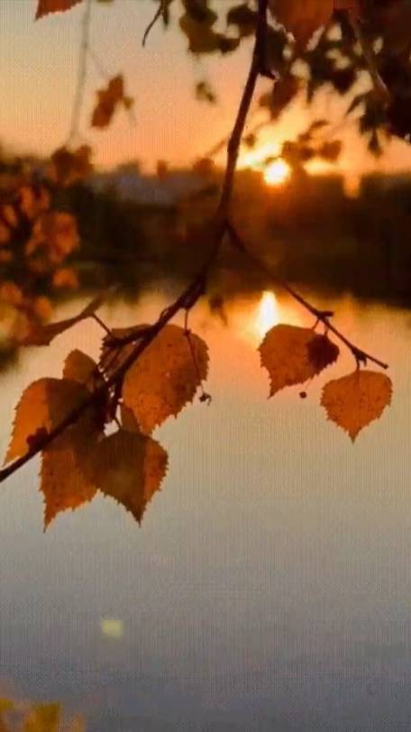 Оставь ... смотреть онлайн