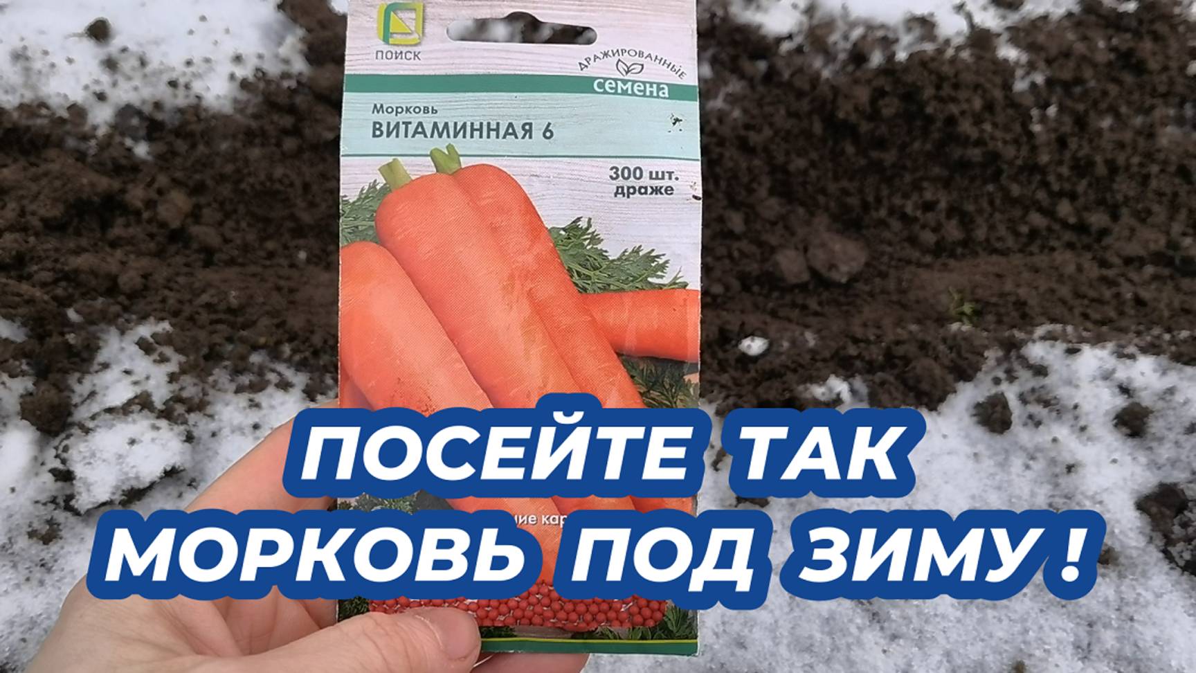 ПОСЕЙТЕ ТАК МОРКОВЬ ПОД ЗИМУ в ноябре-декабре, получите ранний урожай моркови! смотреть онлайн