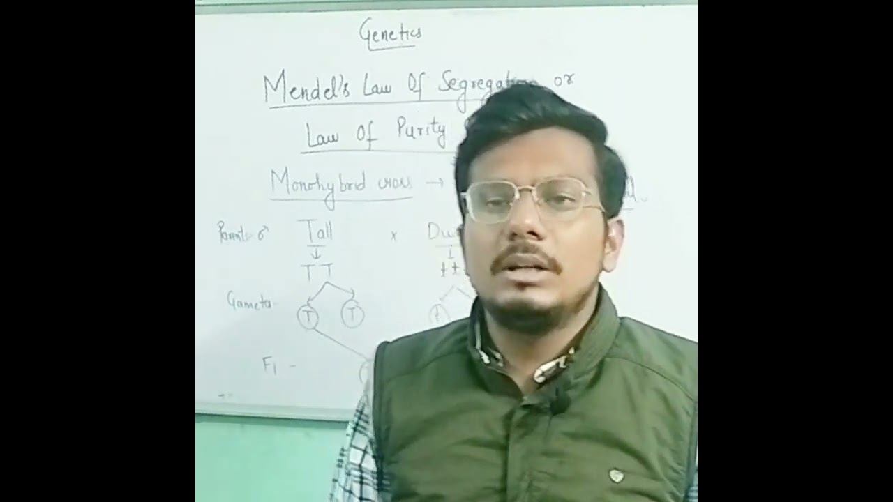 MENDEL'S LAW OF SEGREGATION PART 5|| BIOLOGY TOPIC FOR CLASS 10 AND 12#short#viral#trending смотреть онлайн