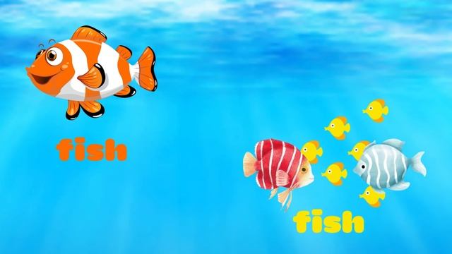 IRREGULAR PLURALS ( Singular And Plural Nouns)