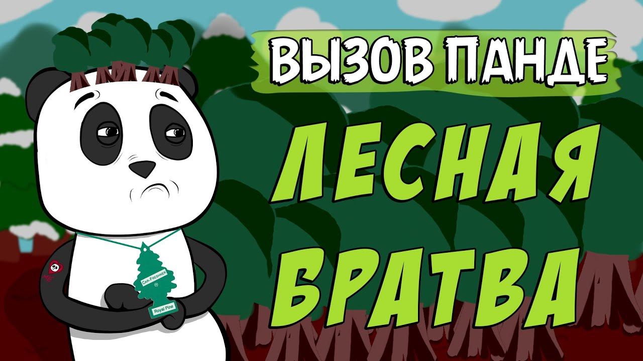 Вызов Панде: лесная братва в Dota 2 смотреть онлайн