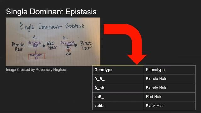 Exam Mini Video 2 Prompt 1 смотреть онлайн
