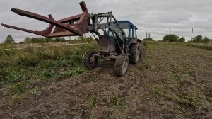 Трактор МТЗ-82 копает картошку!