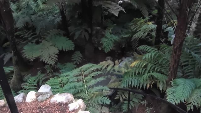 4K Benmore Botanic Garden 02.03.22 Highlands смотреть онлайн