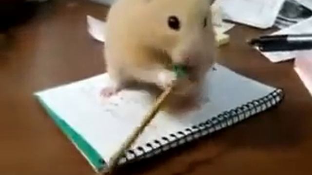 Наш размерчик!!! смотреть онлайн