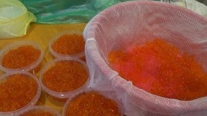 Как я солю икру кеты