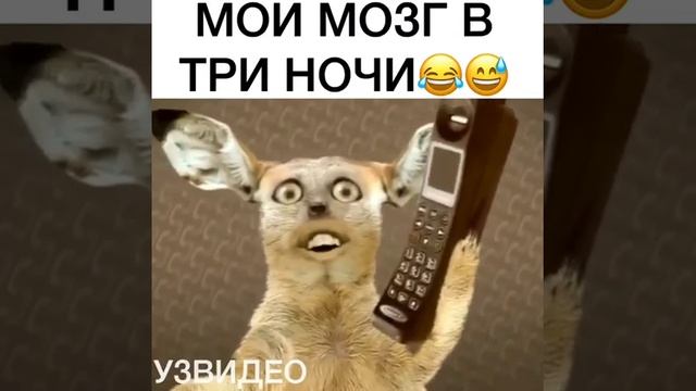 Мозг в 3 часа ночи смотреть онлайн