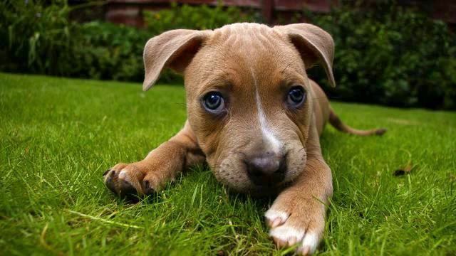 Песня Love Радио. Самая Самая! Расслабляет! смотреть онлайн