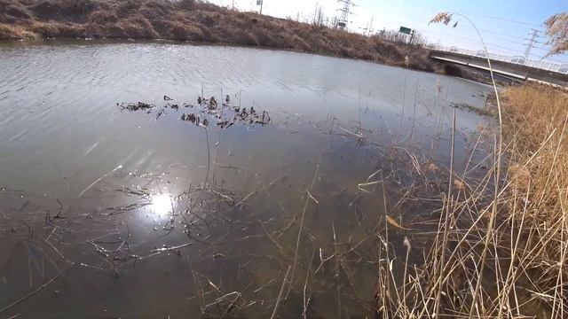 Охота на карасей(slingshot Fishing)