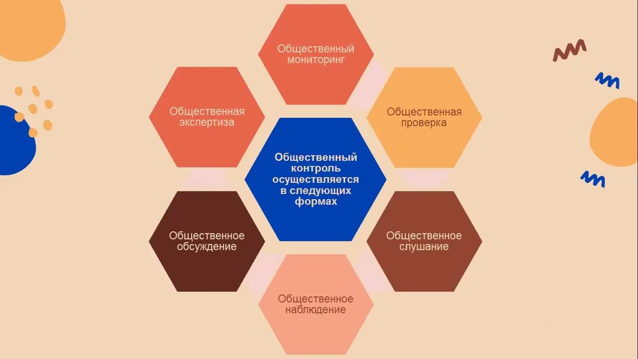Лекция на тему "Общественный контроль" смотреть онлайн